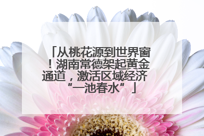 从桃花源到世界窗！湖南常德架起黄金通道，激活区域经济“一池春水”
