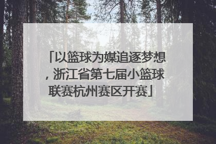 以篮球为媒追逐梦想，浙江省第七届小篮球联赛杭州赛区开赛