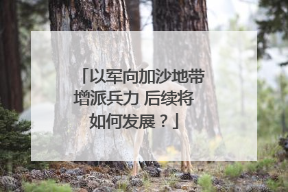 以军向加沙地带增派兵力 后续将如何发展？