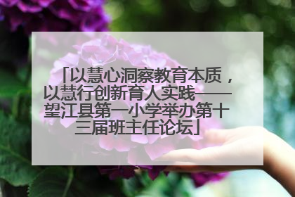 以慧心洞察教育本质，以慧行创新育人实践——望江县第一小学举办第十三届班主任论坛