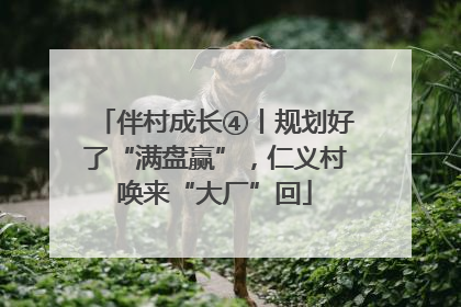 伴村成长④丨规划好了“满盘赢”，仁义村唤来“大厂”回