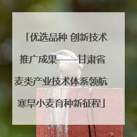 优选品种 创新技术 推广成果——甘肃省麦类产业技术体系领航寒旱小麦育种新征程