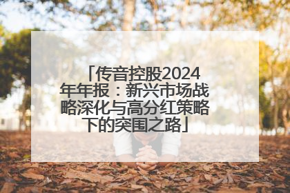 传音控股2024年年报：新兴市场战略深化与高分红策略下的突围之路