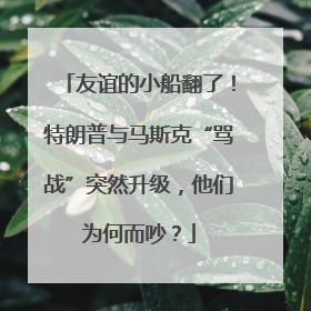 友谊的小船翻了！特朗普与马斯克“骂战”突然升级，他们为何而吵？