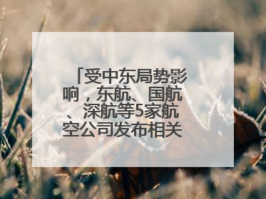 受中东局势影响，东航、国航、深航等5家航空公司发布相关航线退改政策