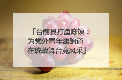 台前县打渔陈镇：为党外青年建跑道 在统战舞台竞风采