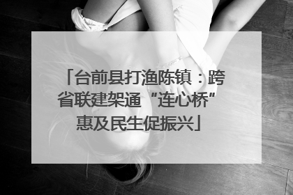 台前县打渔陈镇：跨省联建架通“连心桥” 惠及民生促振兴