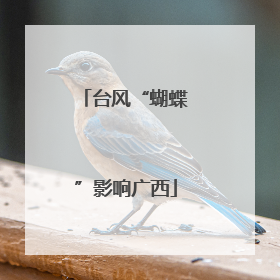 台风“蝴蝶”影响广西