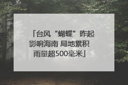 台风“蝴蝶”昨起影响海南 局地累积雨量超500毫米