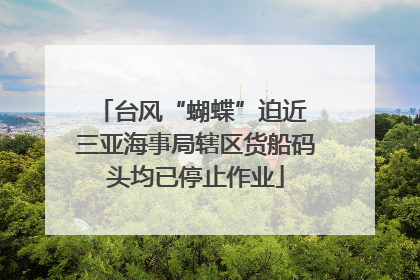 台风“蝴蝶”迫近 三亚海事局辖区货船码头均已停止作业
