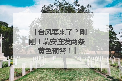 台风要来了？刚刚！瑞安连发两条黄色预警！