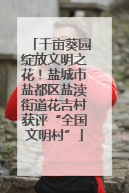 千亩葵园绽放文明之花！盐城市盐都区盐渎街道花吉村获评“全国文明村”