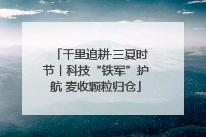 千里追耕·三夏时节丨科技“铁军”护航 麦收颗粒归仓