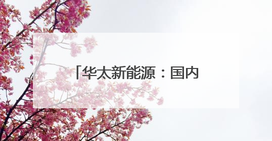华太新能源：国内先锋奋争国际龙头