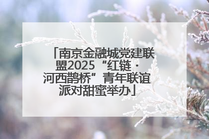 南京金融城党建联盟2025“红链・河西鹊桥”青年联谊派对甜蜜举办