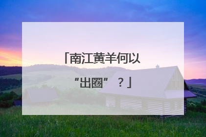 南江黄羊何以“出圈”？