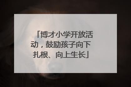 博才小学开放活动，鼓励孩子向下扎根、向上生长