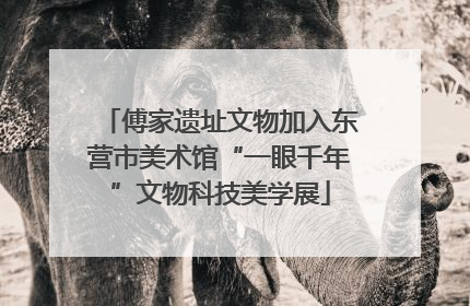 傅家遗址文物加入东营市美术馆“一眼千年”文物科技美学展