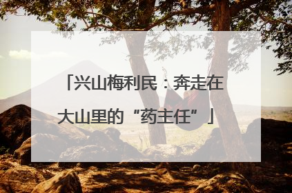 兴山梅利民：奔走在大山里的“药主任”