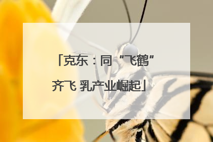克东：同“飞鹤”齐飞 乳产业崛起