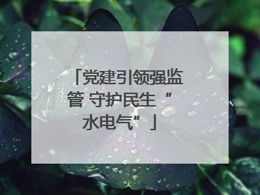 党建引领强监管 守护民生“水电气”