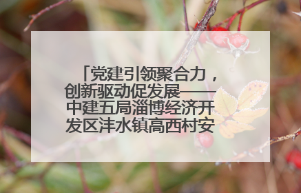 党建引领聚合力，创新驱动促发展——中建五局淄博经济开发区沣水镇高西村安置项目建设纪实