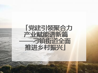 党建引领聚合力 产业赋能谱新篇——刁镇街道全面推进乡村振兴