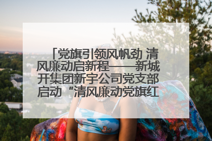 党旗引领风帆劲 清风廉动启新程——新城开集团新宇公司党支部启动“清风廉动党旗红”系列活动