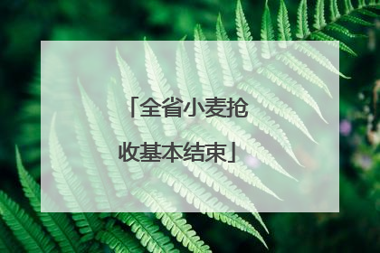 全省小麦抢收基本结束