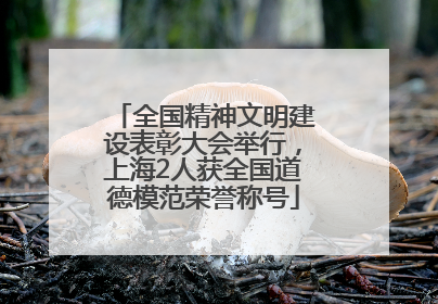 全国精神文明建设表彰大会举行，上海2人获全国道德模范荣誉称号