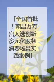 全国首批！南昌万寿宫入选创新多元化服务消费场景实践案例
