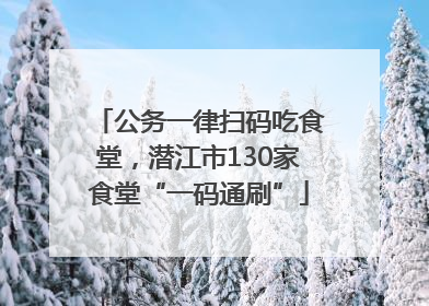 公务一律扫码吃食堂，潜江市130家食堂“一码通刷”