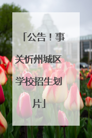 公告！事关忻州城区学校招生划片