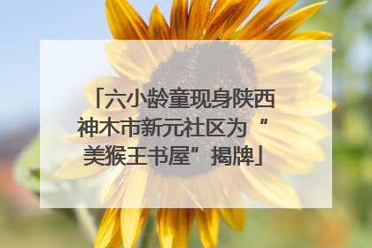 六小龄童现身陕西神木市新元社区为“美猴王书屋”揭牌