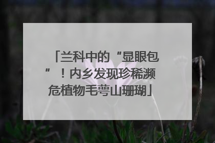 兰科中的“显眼包”！内乡发现珍稀濒危植物毛萼山珊瑚
