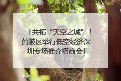 共拓“天空之城”！黄陂区举行低空经济深圳专场推介招商会
