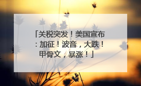 关税突发！美国宣布：加征！波音，大跌！甲骨文，暴涨！