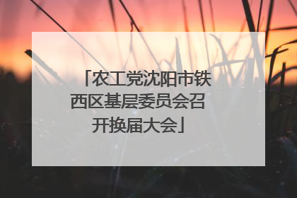 农工党沈阳市铁西区基层委员会召开换届大会