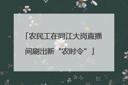 农民工在同江大岗直播间刷出新“农时令”