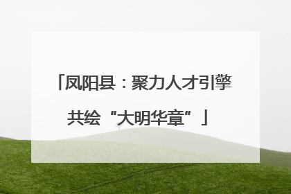 凤阳县：聚力人才引擎 共绘“大明华章”