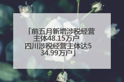 前五月新增涉税经营主体48.15万户 四川涉税经营主体达534.99万户