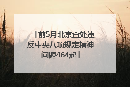 前5月北京查处违反中央八项规定精神问题464起