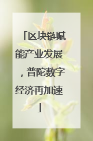 区块链赋能产业发展，普陀数字经济再加速