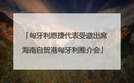 匈牙利恩捷代表受邀出席海南自贸港匈牙利推介会