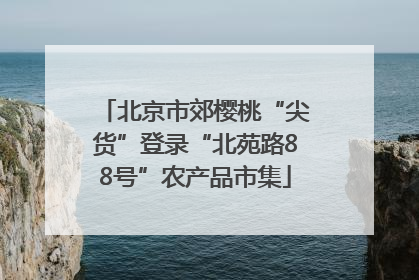 北京市郊樱桃“尖货”登录“北苑路88号”农产品市集