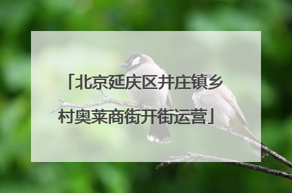 北京延庆区井庄镇乡村奥莱商街开街运营