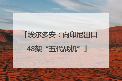 埃尔多安：向印尼出口48架“五代战机”