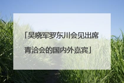 吴晓军罗东川会见出席青洽会的国内外嘉宾