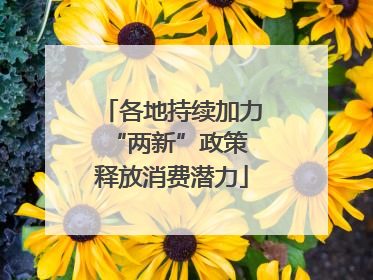 各地持续加力“两新”政策 释放消费潜力