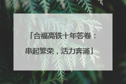合福高铁十年答卷：串起繁荣，活力奔涌